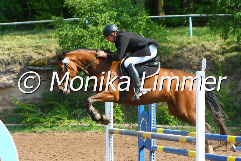 103M3056_Quschee T_Springpf A.JPG